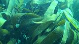 2011-06-15 16-58-55 UK_14
